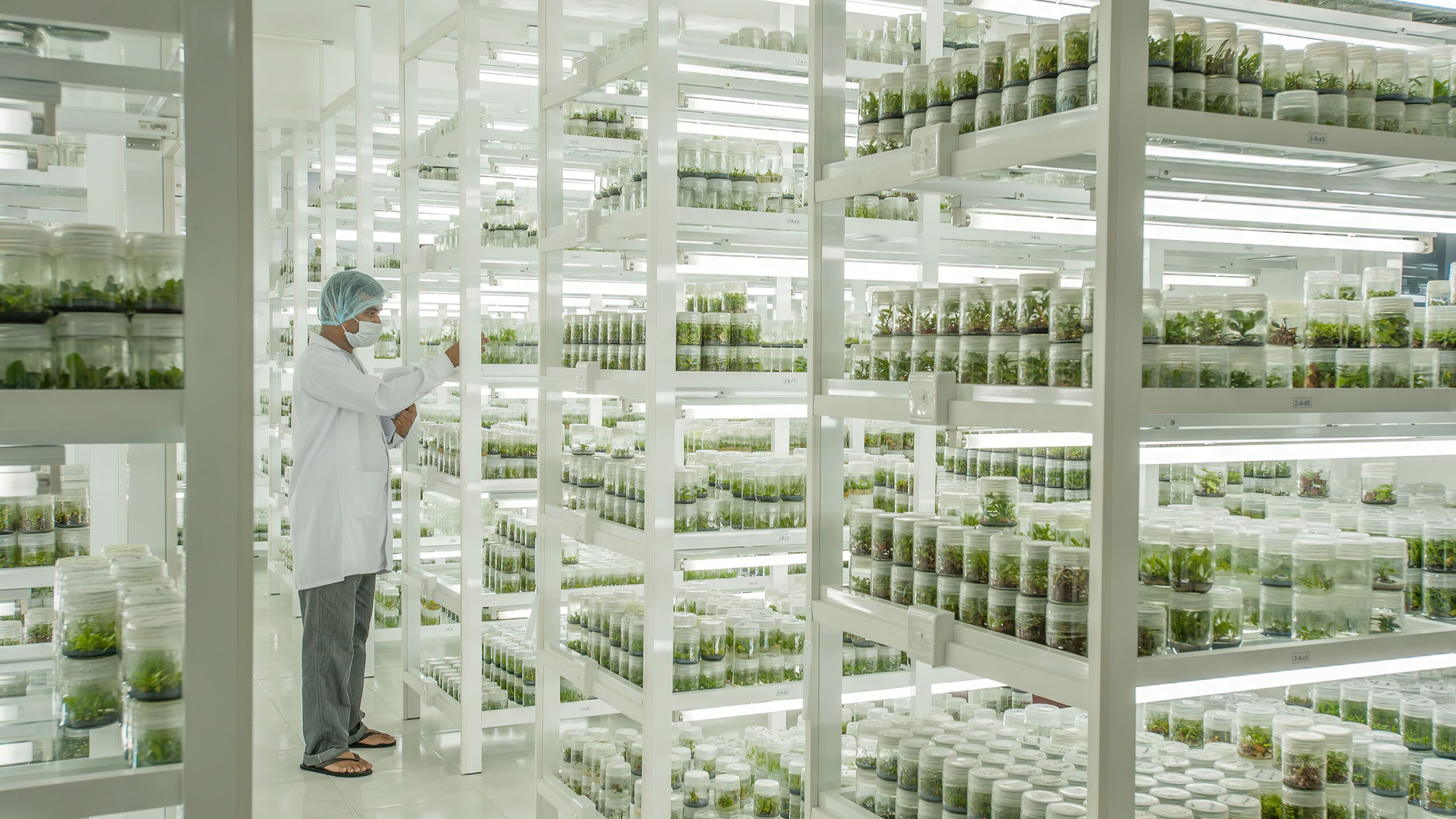 lab growth room