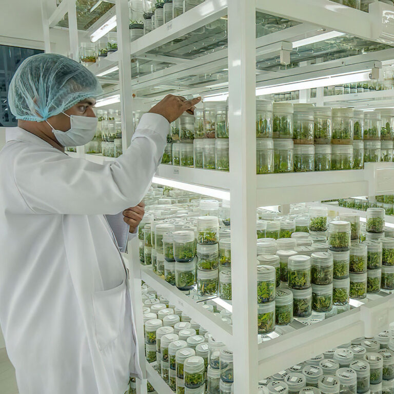 lab growth room